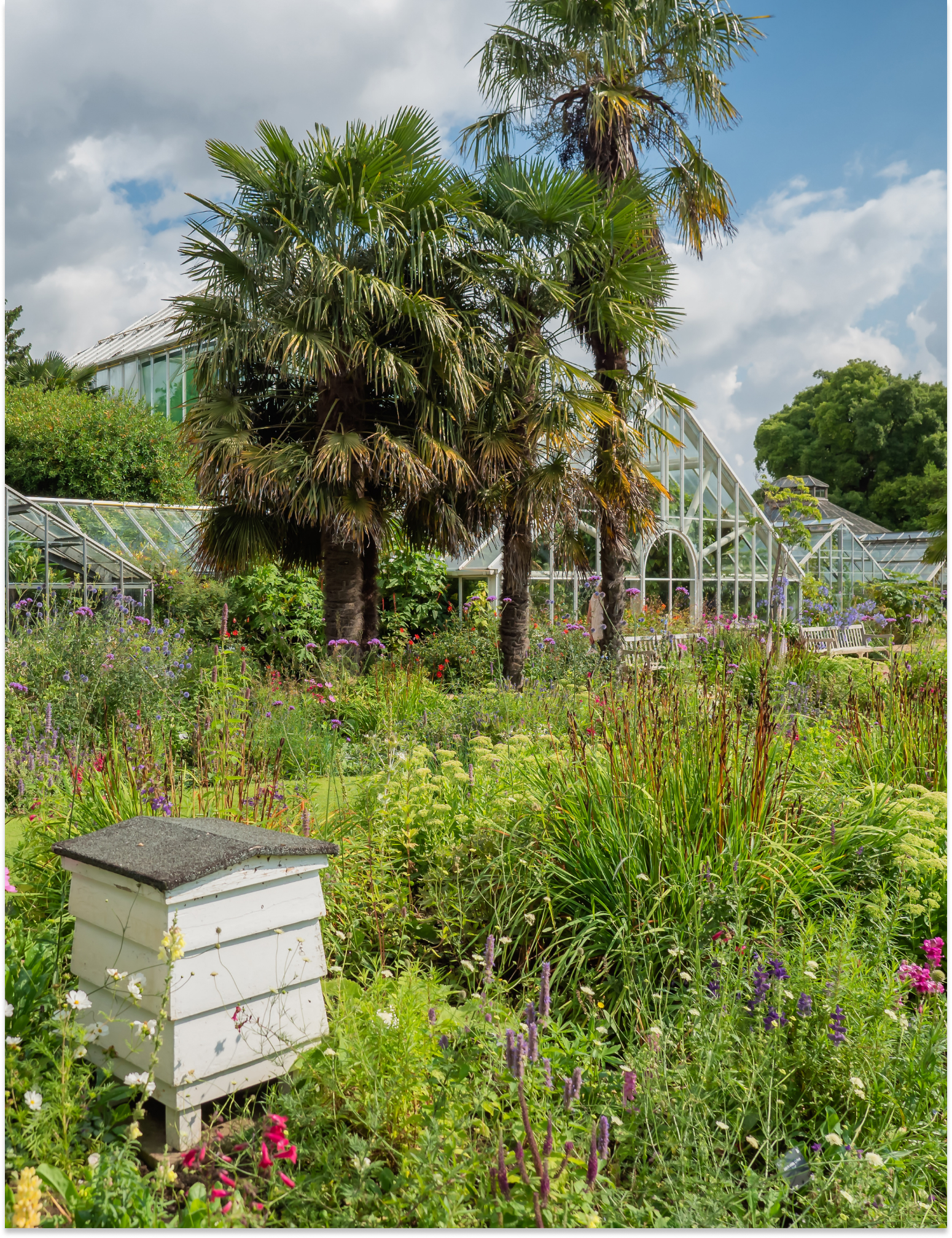 Inner Desktop Banner 1