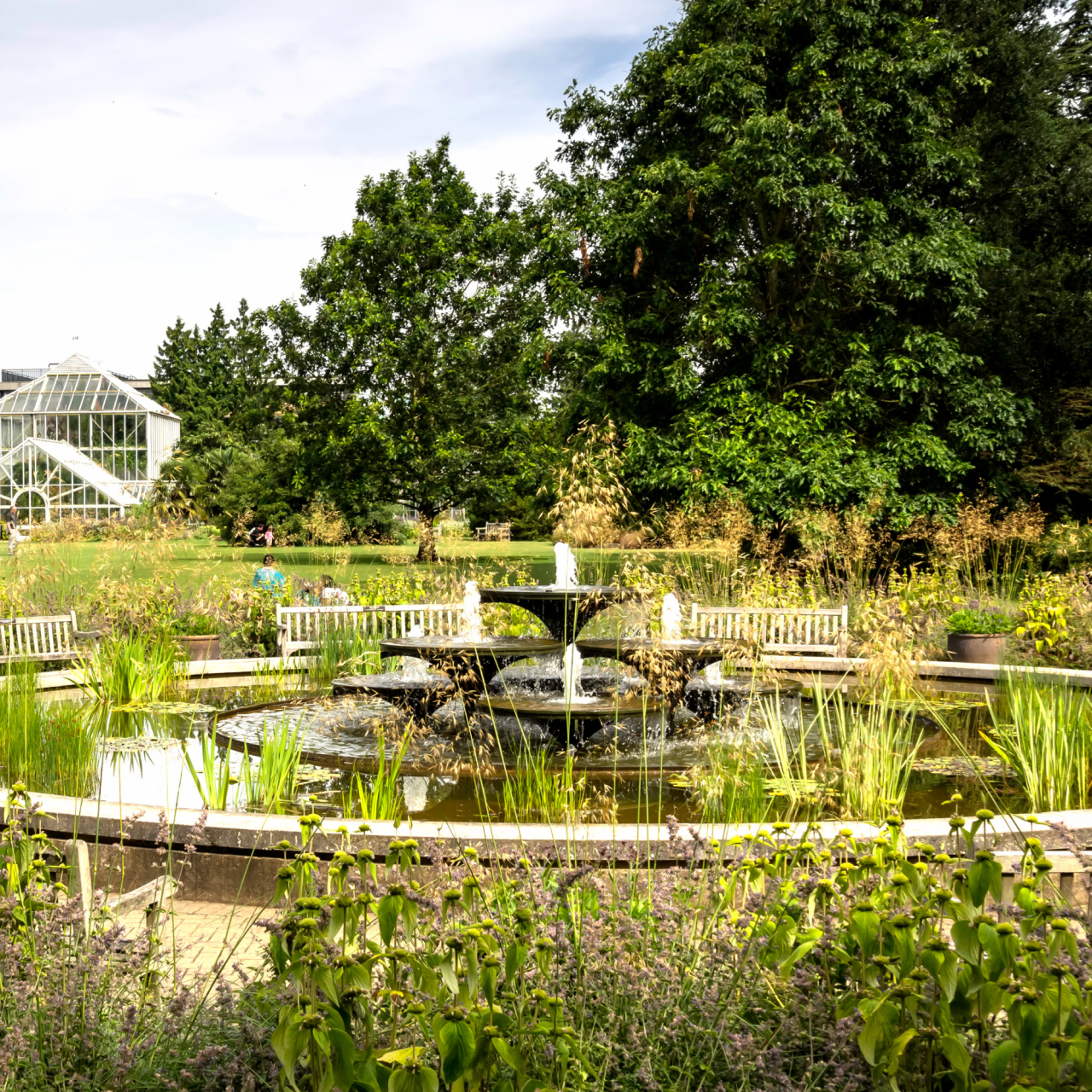 Cambridge University Botanic Gardens 5050