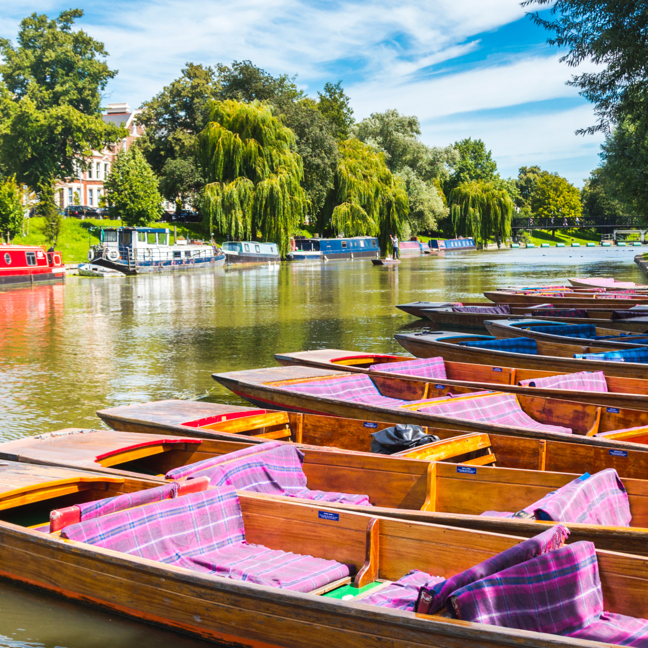 Cambridge Punting Tours 5050