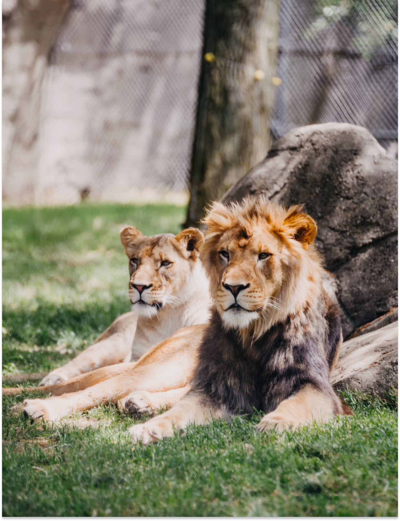 Inner Desktop Banner