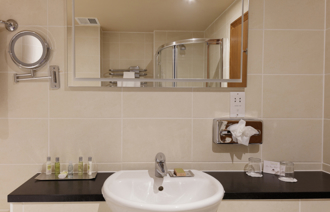 Carousel Desktop Deluxe Twin 2