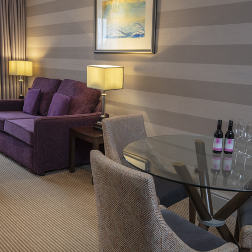 <p>JUNIOR SUITE LOUNGE</p>