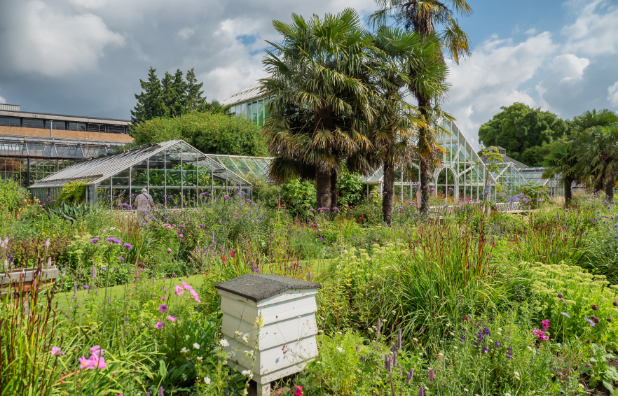 Carousel Desktop Walks