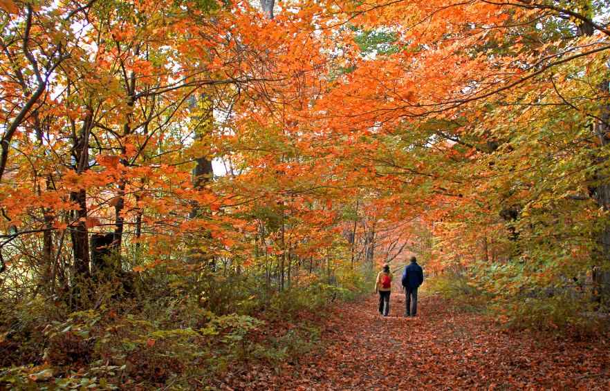 Slaley Hall MAIN THINGS TO DO Carousel Desktop Seasonal Carousel