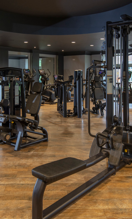 HEALTH CLUB